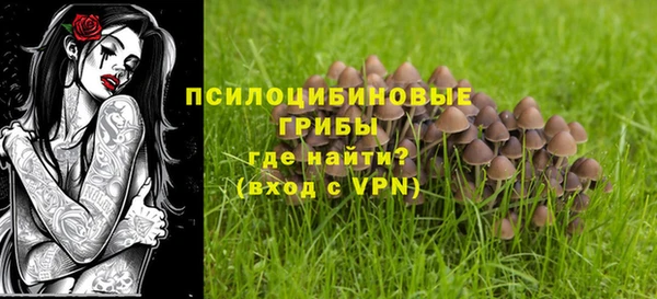 бошки Абаза